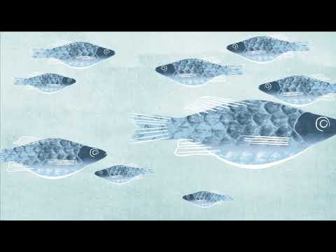 What happens if genetically engineered fish are released into the environment?