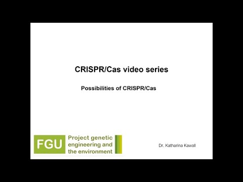 CRISPR/Cas Explainer Video 2: Description of the Possibilities