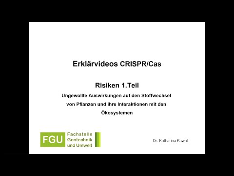 CRISPR/Cas-Erklärvideo 3: Risiken (Teil 1)