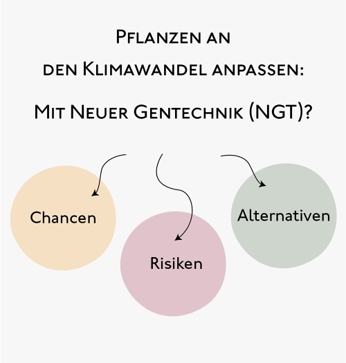 Neue Gentechnik und Klimawandel: Chancen, Risiken und Alternativen - Bild 1
