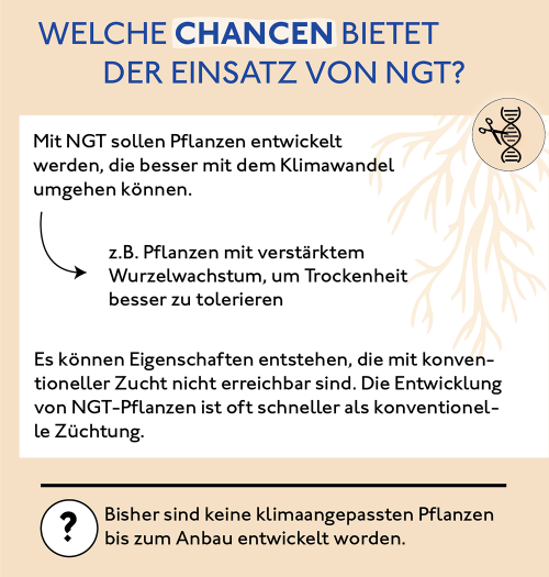 Neue Gentechnik und Klimawandel: Chancen, Risiken und Alternativen - Bild 2